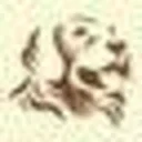 Bjs Raw Pet Food Coupon Codes